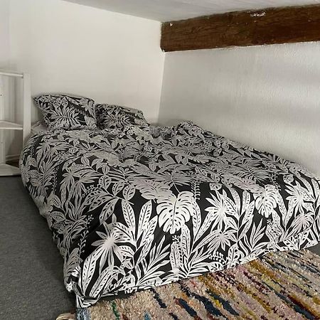Appartement De Caractere Au Coeur Du Centre-Ville 蒙彼利埃 外观 照片