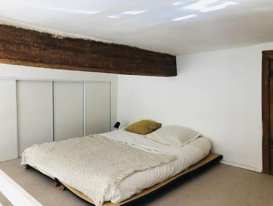 Appartement De Caractere Au Coeur Du Centre-Ville 蒙彼利埃 外观 照片