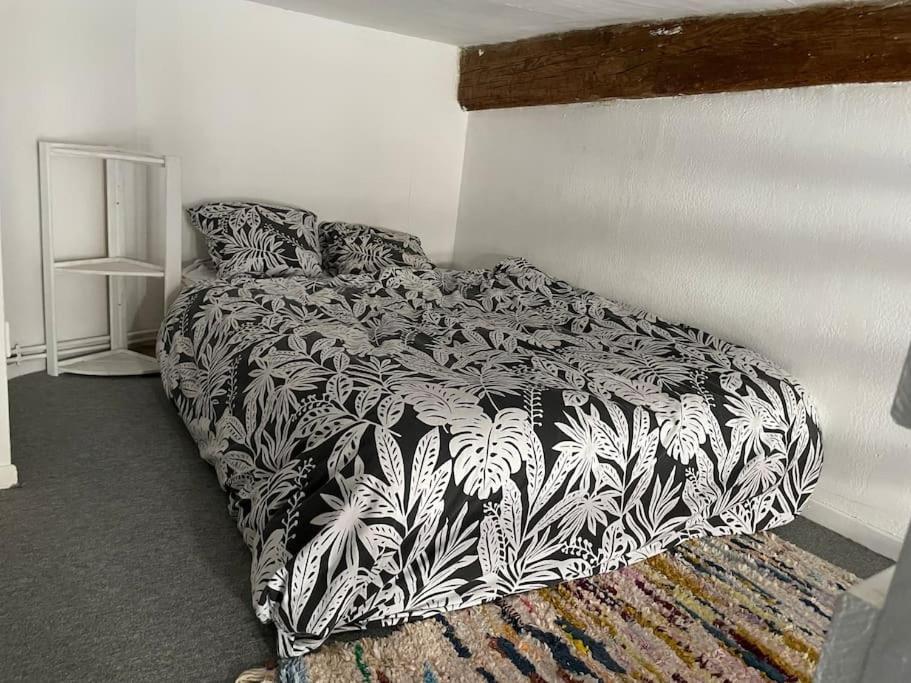 Appartement De Caractere Au Coeur Du Centre-Ville 蒙彼利埃 外观 照片